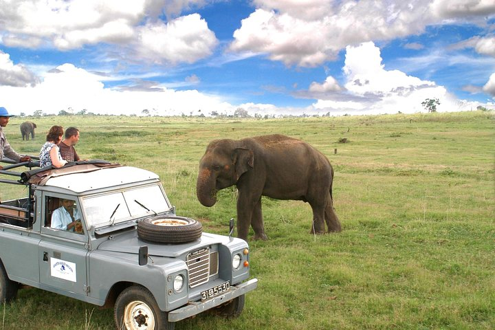 Elephants crossing at saffari